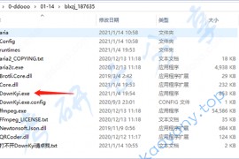 Downkyi怎么使用【B站下载工具】