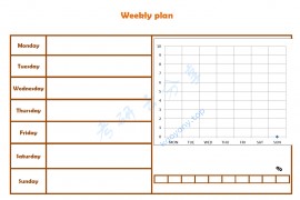 计划表格 每周计划.pdf