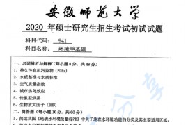 2020年安徽师范大学941环境学基础考研真题.pdf