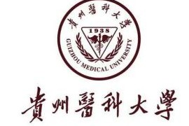 【贵州医科大学】院校汇编（贵州,医药类,高等院校,B区,G）