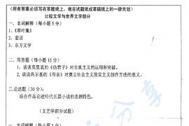 2007年北京师范大学文学理论与外国文学史（含比较文学）考研真题