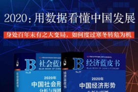 2020用数据看懂中国发展（经济蓝皮书+社会蓝皮书）