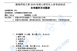 2019年湖南师范大学878文学原理与中国现代文学考研真题