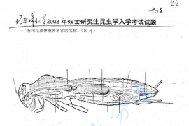 2002年北京林业大学普通昆虫学考研真题