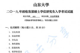 2019年山东大学613社会学原理考研真题.pdf
