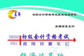 2020年初级会计经济法晨阳笔记.pdf
