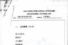 2005年深圳大学文学理论（比较文学与世界文学）考研真题
