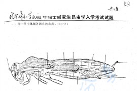 2002年北京林业大学昆虫学考研真题