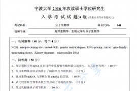 2016年宁波大学941分子生物学（A卷）考研真题