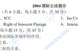 2004年武汉大学国际公法考研真题