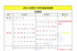 2023年肖秀荣1000题重点题汇总.pdf
