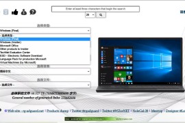 超越MSDN，一个下载镜像的神站！