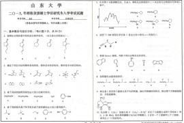 2019年山东大学835合成化学考研真题.pdf