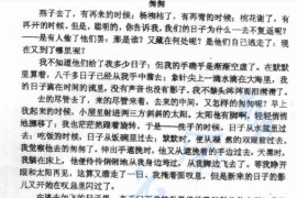 2008年上海理工大学838翻译（英汉互译）考研真题