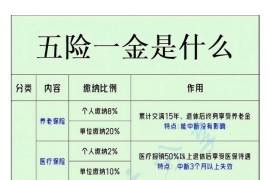 可算把五险一金弄透了，钱不能白交.pdf