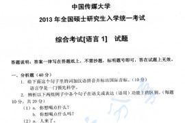 2013年中国传媒大学805综合考试（语言1）考研真题