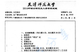 2014年天津师范大学878文艺综合考研真题
