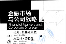 《金融市场与公司战略》.pdf