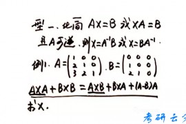 汤家凤：线性代数未知矩阵专题
