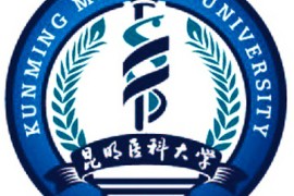 【昆明医科大学】院校汇编（云南,医药类,高等院校,B区,K）