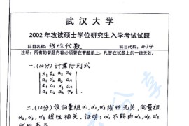 2002年武汉大学474线性代数考研真题