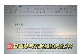 参考文献标红？这几步轻松解决格式错误！.pdf