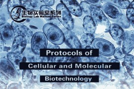 《细胞生物技术实验指南》刁勇 许瑞.pdf