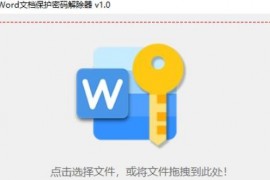 Word文档保护密码解除器 v1.0 .zip