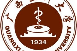 【广西医科大学】院校汇编（广西,医药类,高等院校,B区,G）