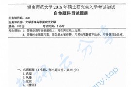 2018年湖南师范大学878文学原理与中国现代文学考研真题