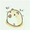 窦问芙