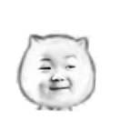 三毛