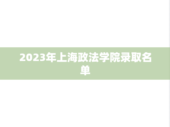 2023年上海政法学院录取名单