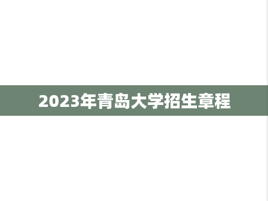 2023年青岛大学招生章程