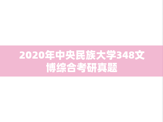 2020年中央民族大学348文博综合考研真题