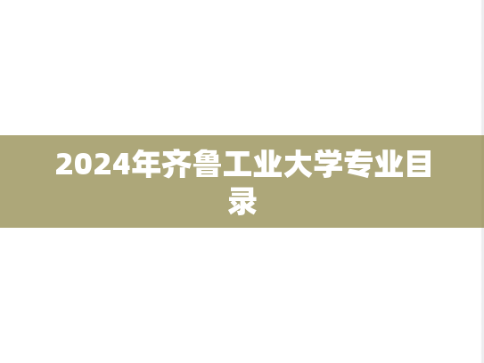 2024年齐鲁工业大学专业目录