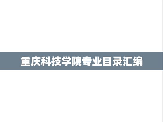 重庆科技学院专业目录汇编