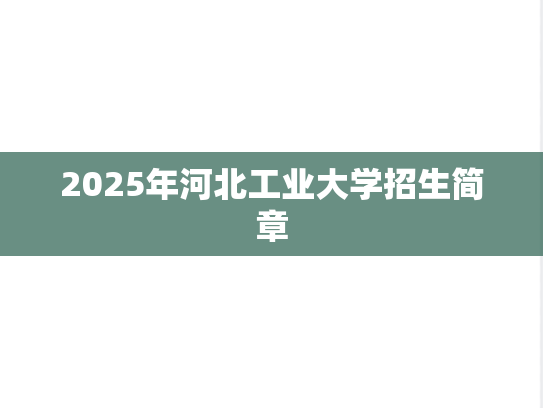 2025年河北工业大学招生简章