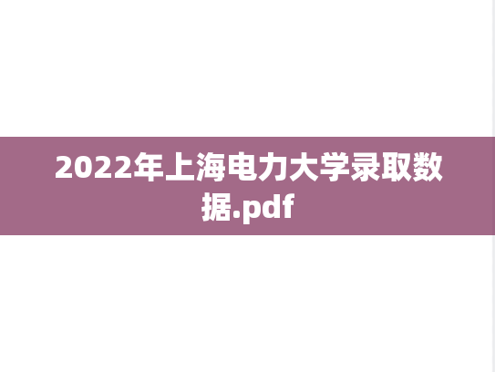 2022年上海电力大学录取数据.pdf