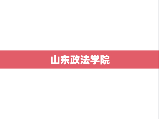 山东政法学院