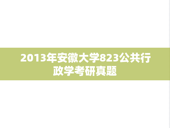 2013年安徽大学823公共行政学考研真题