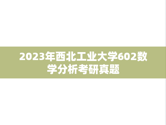 2023年西北工业大学602数学分析考研真题