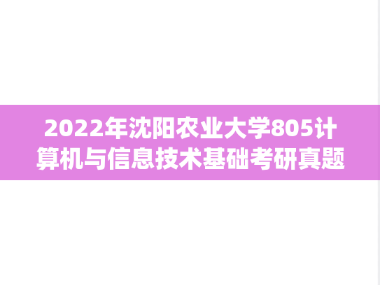 2022年沈阳农业大学805计算机与信息技术基础考研真题.pdf