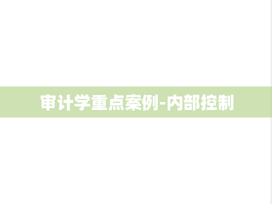 审计学重点案例-内部控制