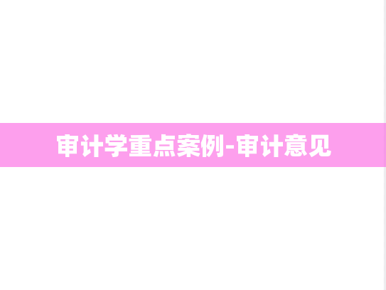 审计学重点案例-审计意见