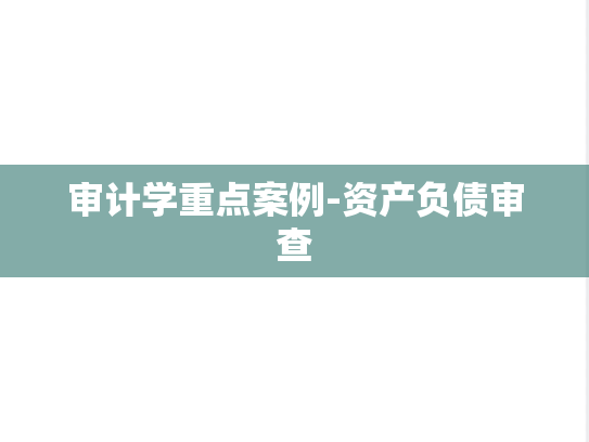 审计学重点案例-资产负债审查