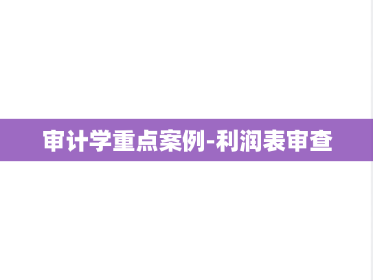 审计学重点案例-利润表审查