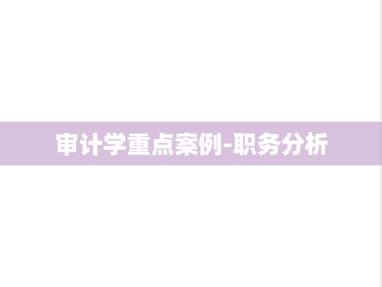 审计学重点案例-职务分析