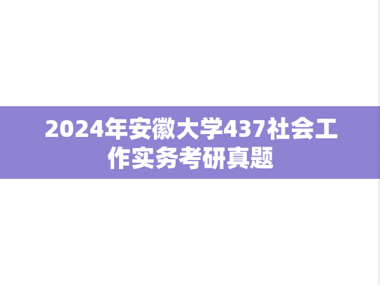 2024年安徽大学437社会工作实务考研真题