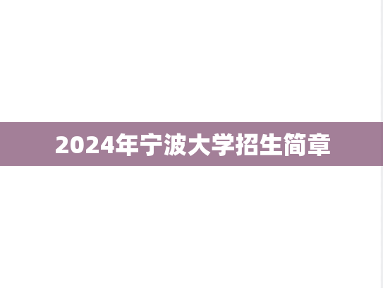 2024年宁波大学招生简章